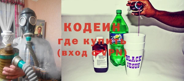 амф Бородино