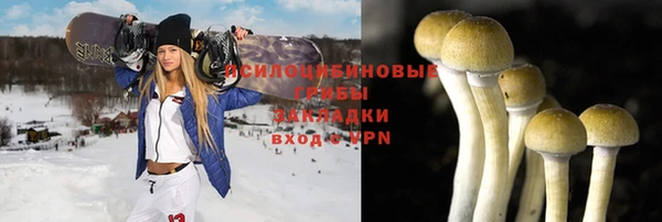 амф Бородино