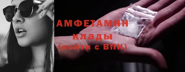 амф Бородино