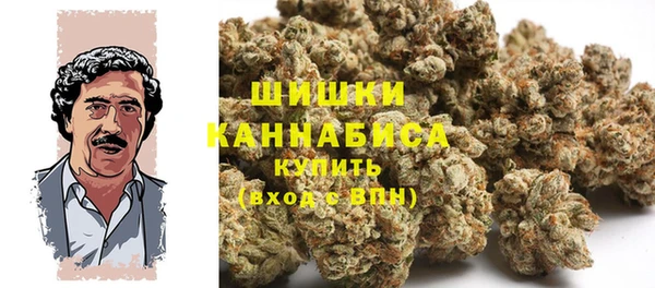 амф Бородино