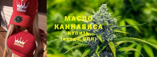 амф Бородино